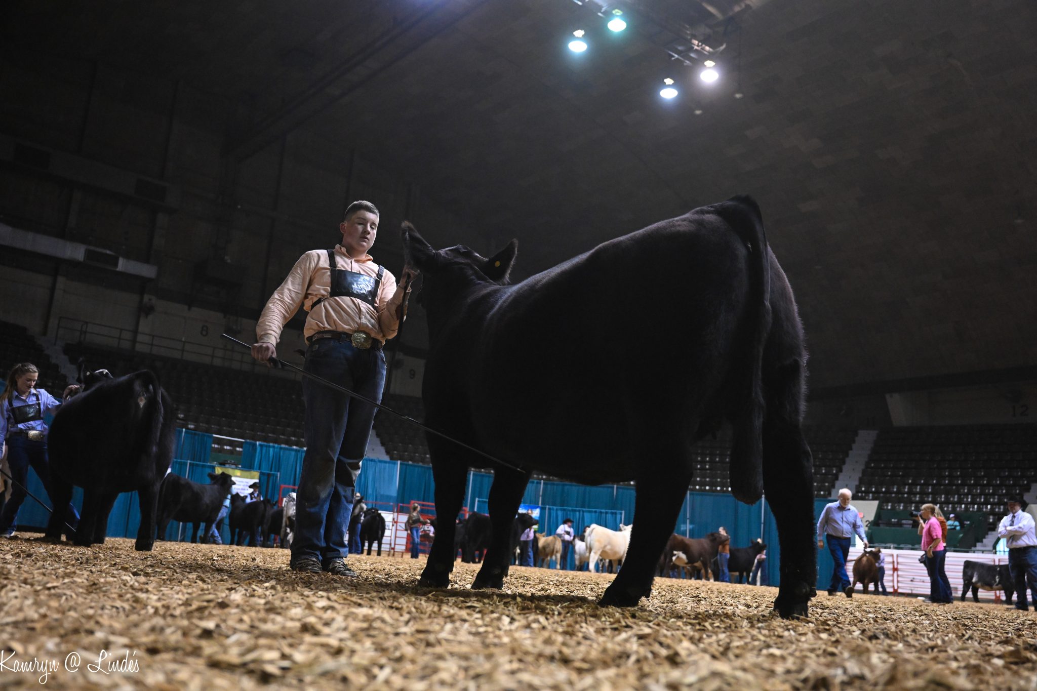 Minnesota Beef Expo to the Minnesota Beef Expo!